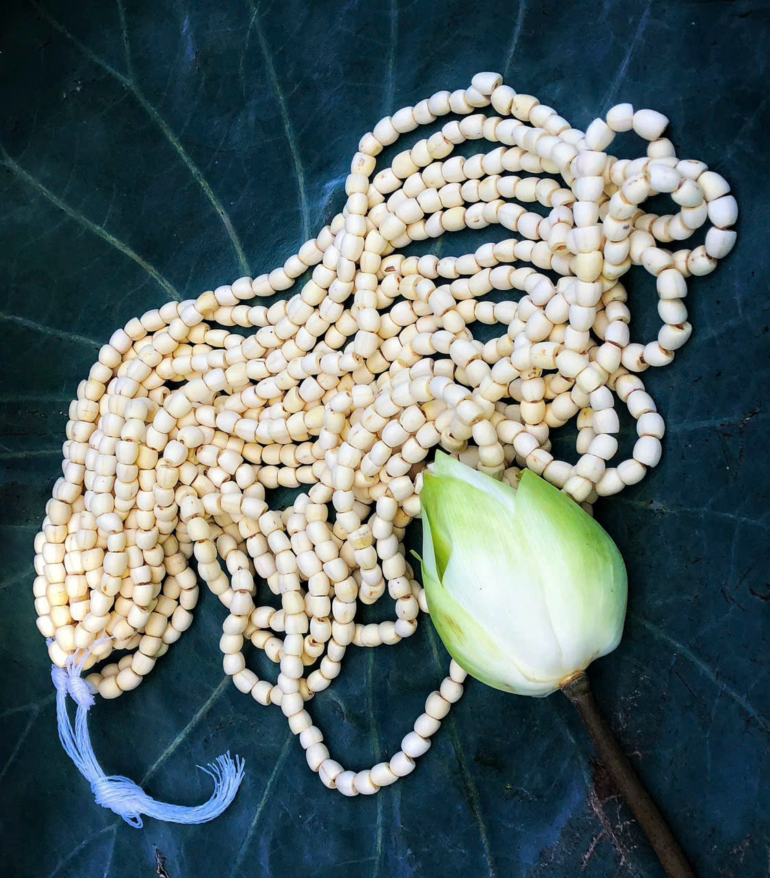 TRÀ SEN ƯỚP XỔI